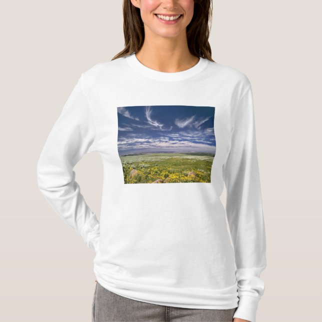 T-shirts EUA, Oregon, Steens Mountain. Primavera desabrocha (Frente)