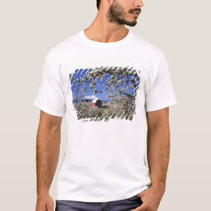 T-shirts EUA, Oregon, Vale do Rio Hood, Pomar de peras