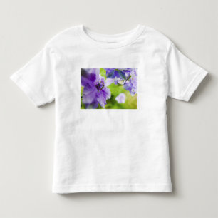 T-shirts EUA, Oregon, Vale Willamette, Larkspur Close 2