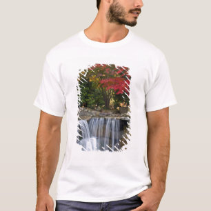 T-shirts EUA, Redmond, Washington. Cores de outono num parq
