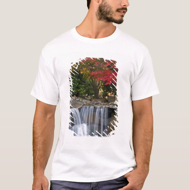 T-shirts EUA, Redmond, Washington. Cores de outono num parq (Frente)