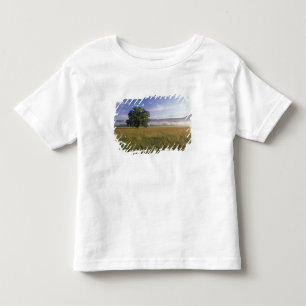 T-shirts EUA, Tennessee. Grandes Montanhas Smokey