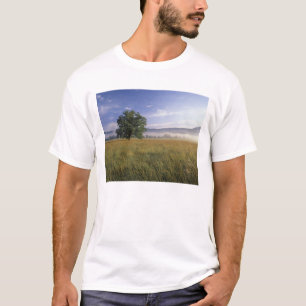 T-shirts EUA, Tennessee. Grandes Montanhas Smokey