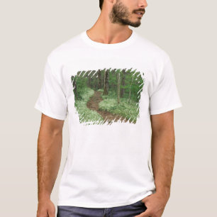 T-shirts EUA, Tennessee, Great Smoky Mountains NP, 3