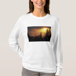 T-shirts EUA, Tennessee, Parque Nacional Great Smoky Mounta