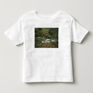 T-shirts EUA, Tennessee. Rio Nacional Big South Fork