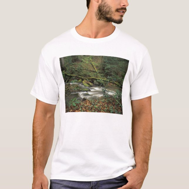 T-shirts EUA, Tennessee. Rio Nacional Big South Fork (Frente)