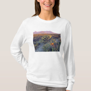 T-shirts EUA, Texas, Big Bend NP. Um crepúsculo arenoso ros