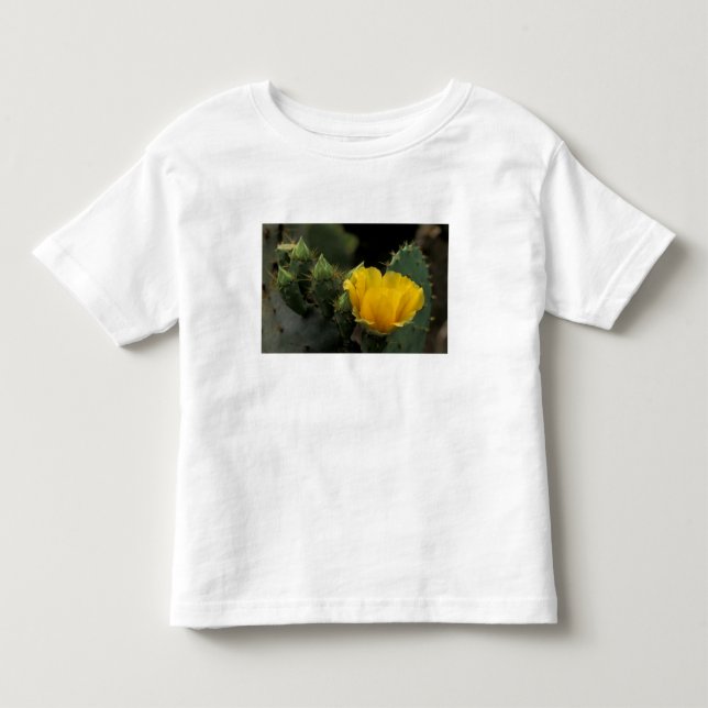 T-shirts EUA, Texas, Cacto de Pera Espinhosa em flor. (Frente)