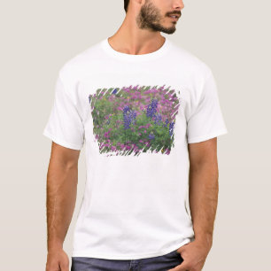T-shirts EUA, Texas Hill Country. Bluebonnets entre phlox