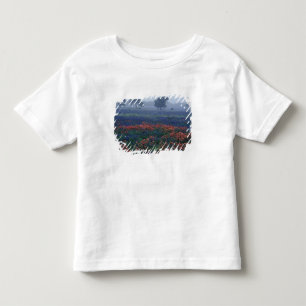 T-shirts EUA, Texas, perto de Lytle Fog, carvalhos, blue bo