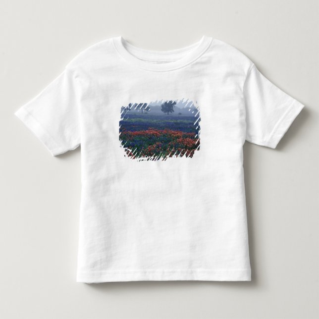 T-shirts EUA, Texas, perto de Lytle Fog, carvalhos, blue bo (Frente)