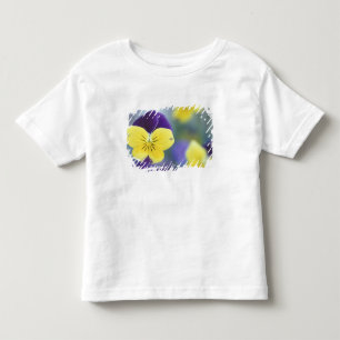 T-shirts EUA, Utah, Cache Valley Detalhe de um Johnny Jump