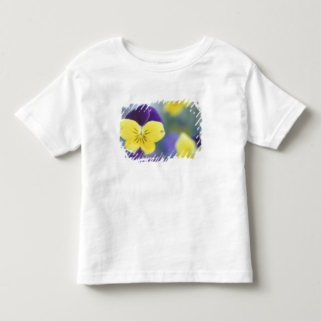 T-shirts EUA, Utah, Cache Valley Detalhe de um Johnny Jump (Frente)