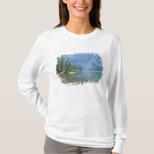 T-shirts EUA, Utah, Floresta Nacional Ashley, High Uintas