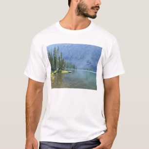 T-shirts EUA, Utah, Floresta Nacional Ashley, High Uintas