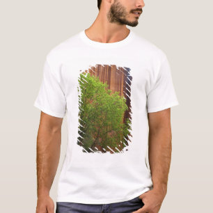 T-shirts EUA, Utah, Paria Canyon - Cliffs Vermilion