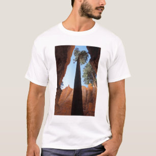 T-shirts EUA, Utah, Parque Nacional Bryce Canyon. Alto