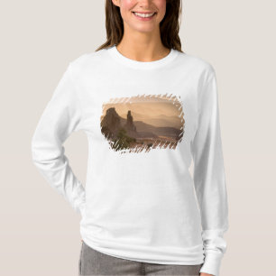 T-shirts EUA; Utah; Parque Nacional Canyonlands. Vista de