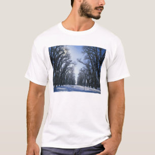 T-shirts EUA, Utah, Salt Lake City, Liberty Park,