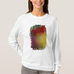 T-shirts EUA, Utah, Tulipas do Vale Cache num jardim