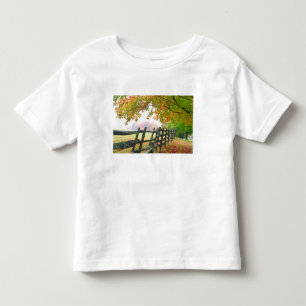 T-shirts EUA, Vermont. Cerca sob folhagem de outono.