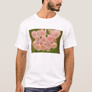 T-shirts EUA, Virgínia, Manassas, Manassas Nacional