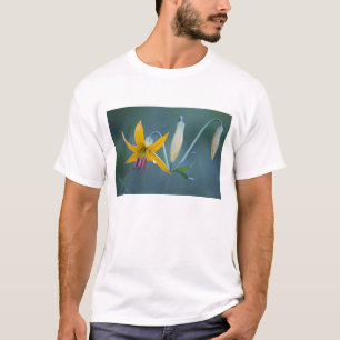T-shirts EUA, WA, Parque Nacional Mt. Rainier. Columbia