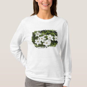 T-shirts EUA, Washington, Cornus do Pacífico, Cornus