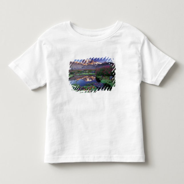 T-shirts EUA, Washington, Mt. Rainier NP, nascer do sol, (Frente)