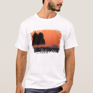 T-shirts EUA, Washington, Parque Nacional da Olimpiadas, Ma