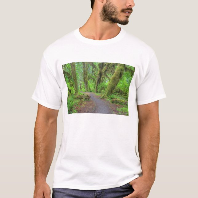 T-shirts EUA, Washington, Parque Nacional Olímpico, Chuva d (Frente)