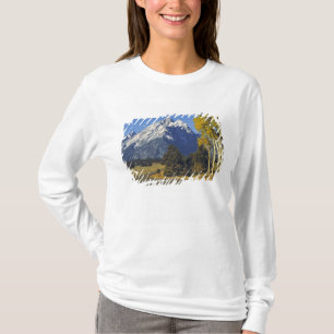 T-shirts EUA, Wyoming, Grand Teton NP. Teton Parkway