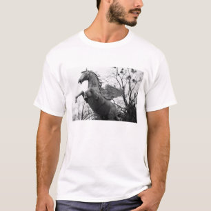 T-shirts Europa, Áustria, Salzburgo. Estátua de cavalo alad