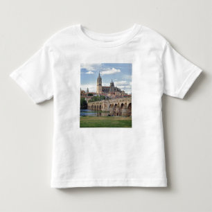 T-shirts Europa, Espanha, Salamanca. A ponte romana sobre