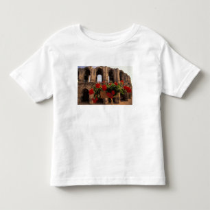 T-shirts Europa, França, Provença, Arles, Bouches, du,