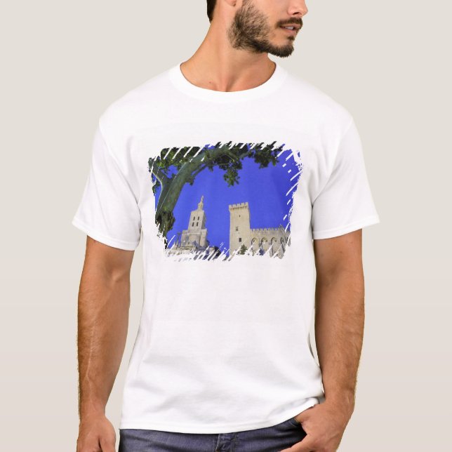 T-shirts Europa, França, Provença, Vaucluse, Avinhão. (Frente)