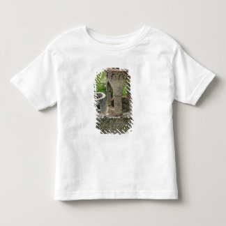 T-shirts Europa, Irlanda, Castelo de Blarney. ESTA IMAGEM