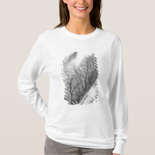 T-shirts Europa, Suiça, Berna. Visão geral do Aare