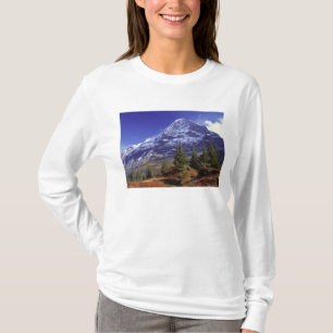 T-shirts Europa, Suíça, Eiger. Cores de outono abundam