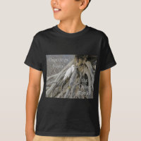Excelente Egret (Ardea alba) OBX