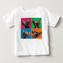 Facebuilding (gatinho de Sphynx)