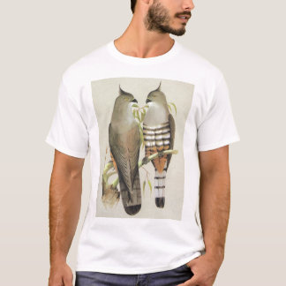T-shirts Falcão com crista - subcristata de Aviceda
