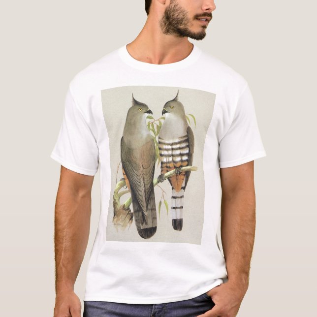 T-shirts Falcão com crista - subcristata de Aviceda (Frente)