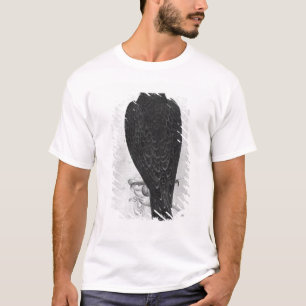 T-shirts Falcão na mão