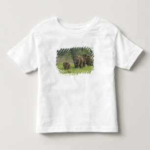 T-shirts Família de Elefantes Indianos