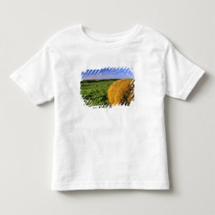 T-shirts Fardos de Feno perto de Bottineau Dakota do Norte
