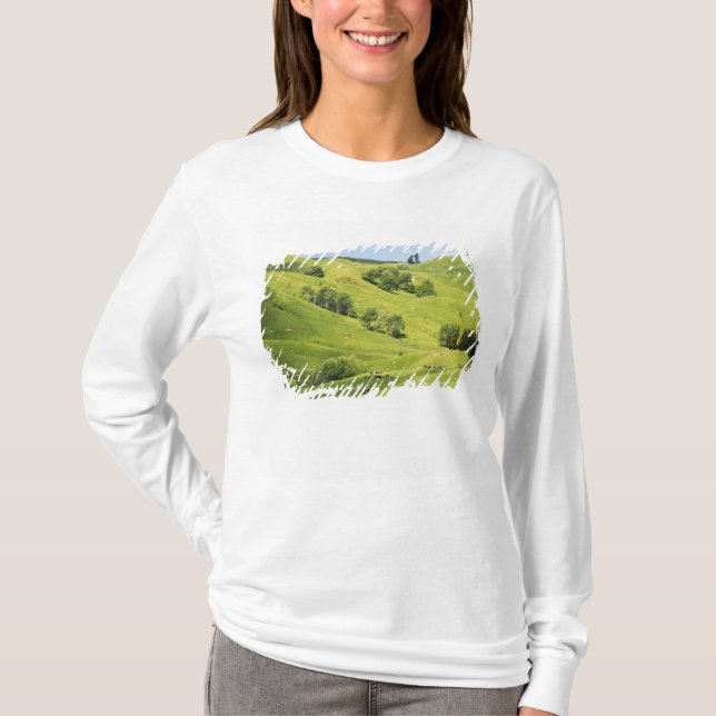 T-shirts Farmland perto de Gisborne, Nova Zelândia (Frente)
