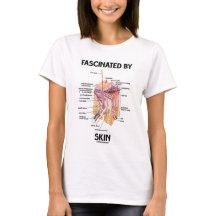 Fascinado pela pele (camadas da pele)