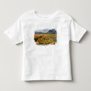 T-shirts Fazenda de Tulipas perto de Agassiz, Colúmbia Brit